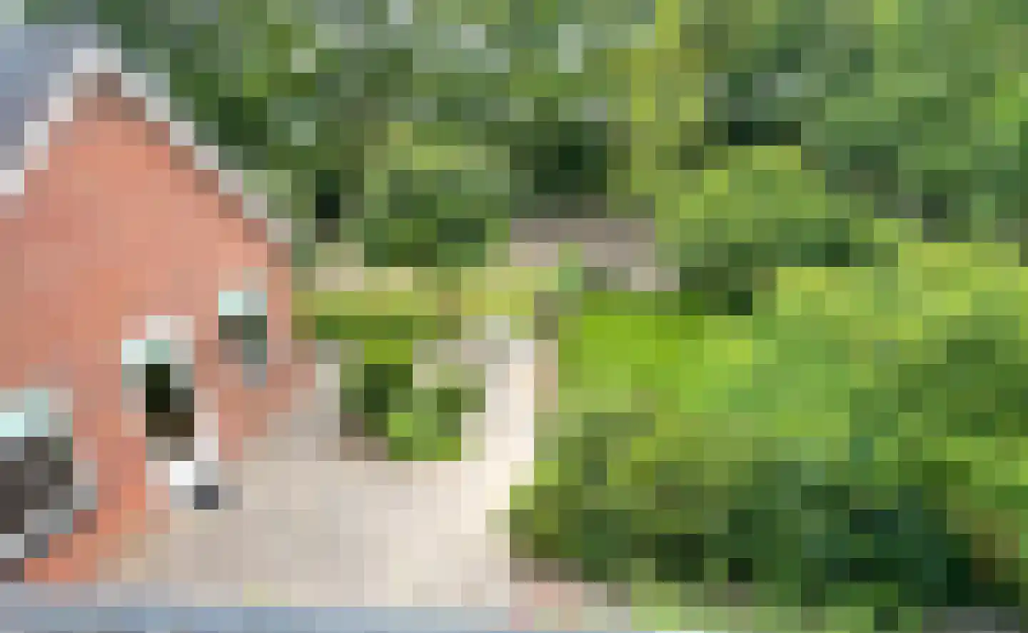 Venneperweg 863 Nieuw-Vennep thumbnail 58