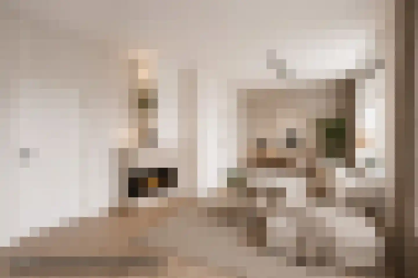Vennerstraat 64 Paterswolde thumbnail 15