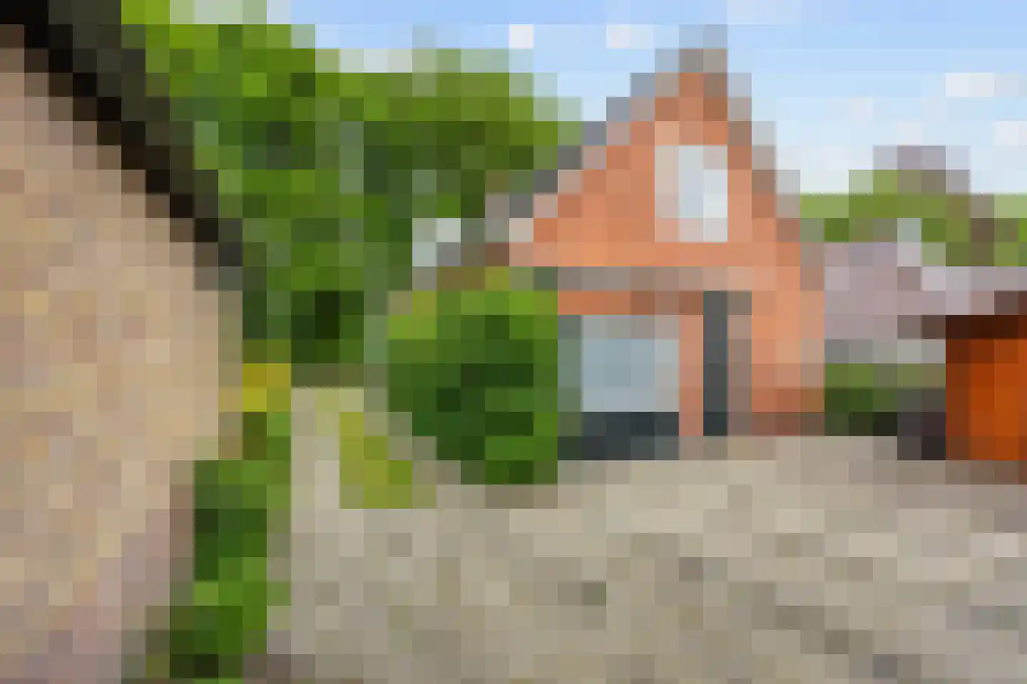 Vennerstraat 64 Paterswolde thumbnail 42