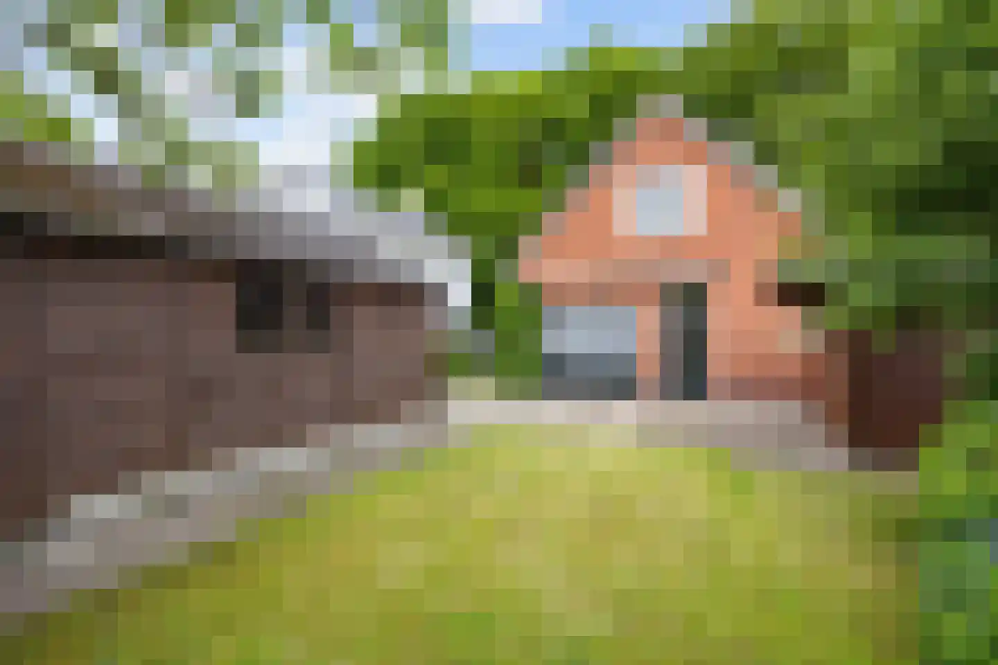 Vennerstraat 64 Paterswolde thumbnail 44