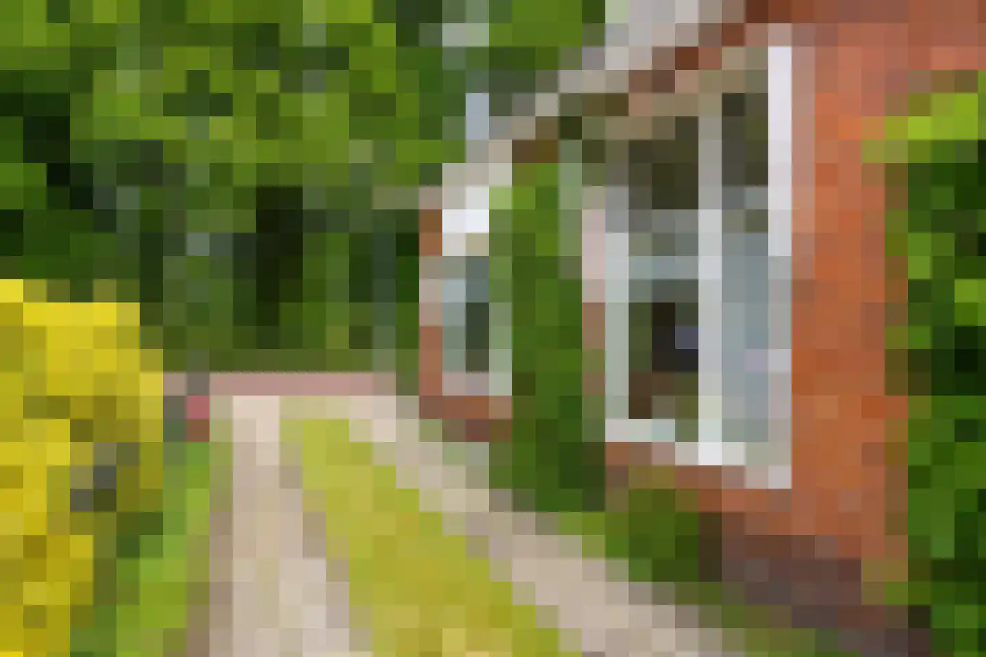 Vennerstraat 64 Paterswolde thumbnail 54