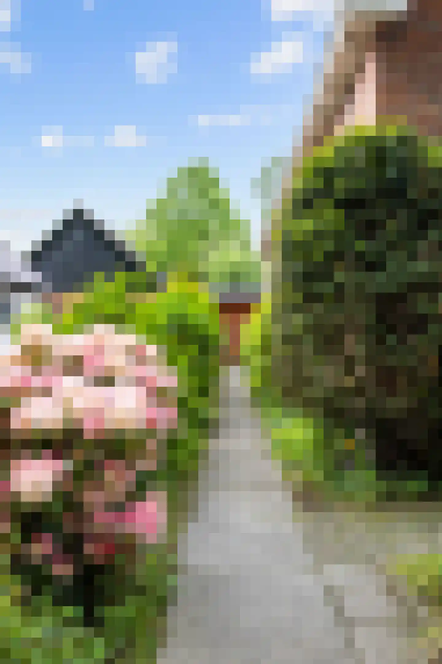 Vennerstraat 64 Paterswolde thumbnail 6