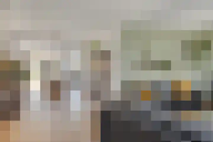 Vennestraat 1 Drunen thumbnail 10