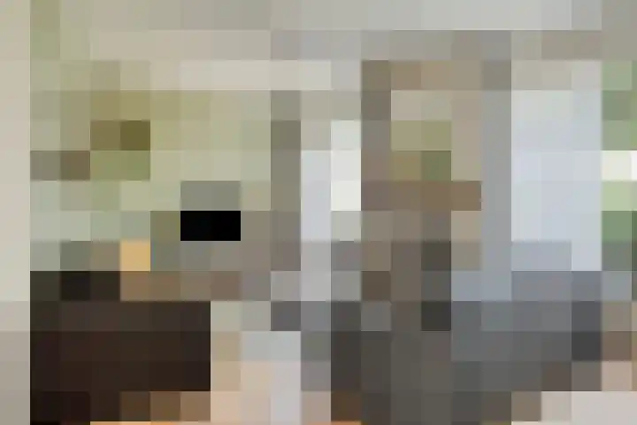Vennestraat 1 Drunen thumbnail 12