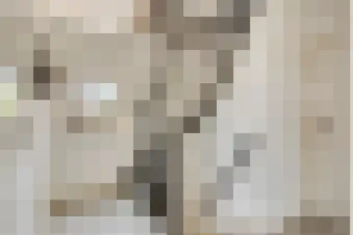 Vennestraat 1 Drunen thumbnail 27