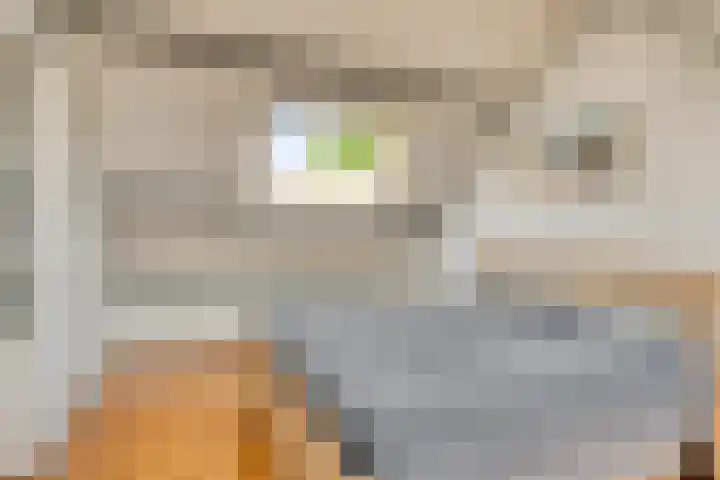 Vennestraat 1 Drunen thumbnail 31