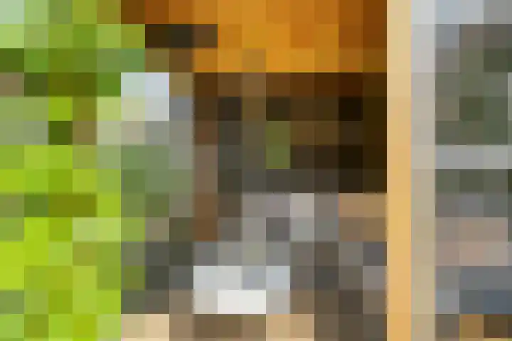 Vennestraat 1 Drunen thumbnail 35