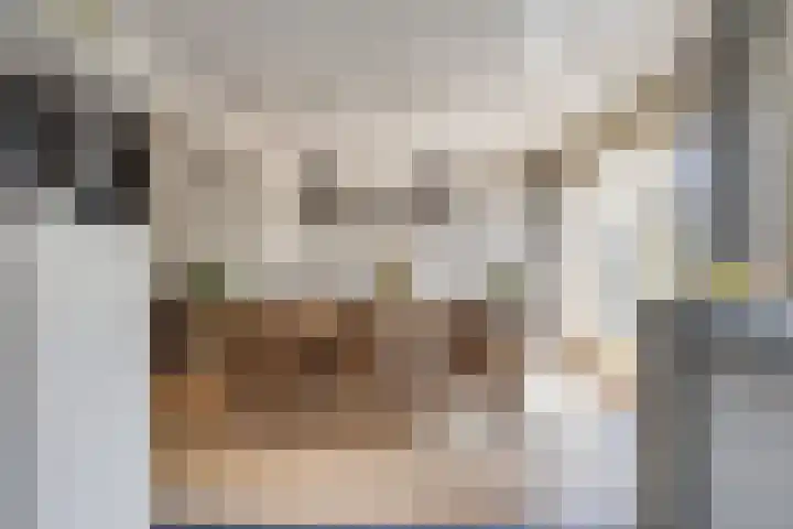 Vennestraat 1 Drunen thumbnail 7