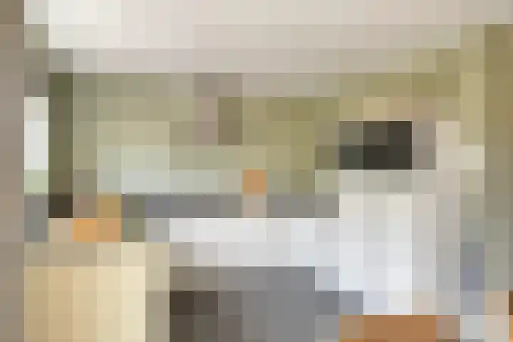 Vennestraat 1 Drunen thumbnail 8