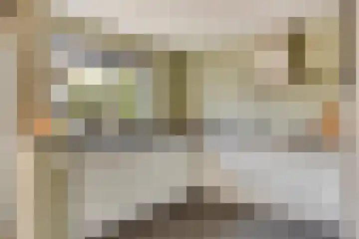 Vennestraat 1 Drunen thumbnail 9
