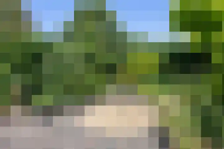 Vennestraat 13 Drunen thumbnail 28