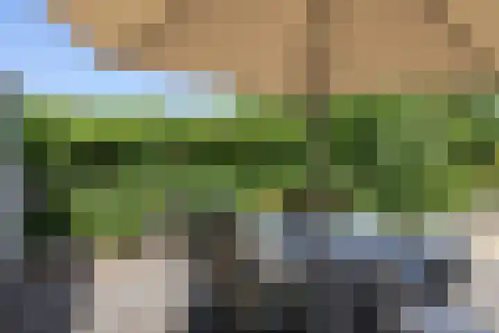 Vennestraat 13 Drunen thumbnail 29