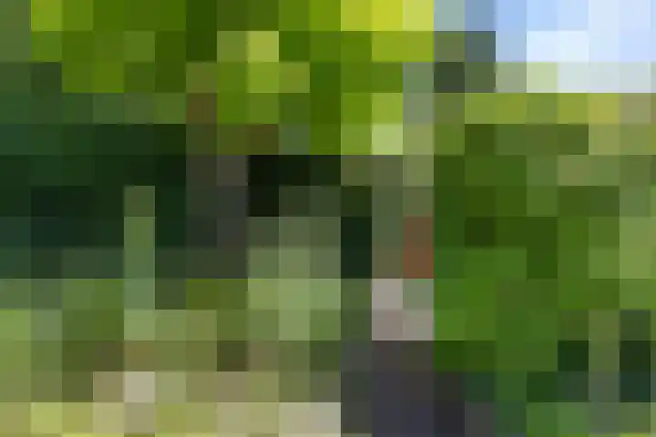 Vennestraat 13 Drunen thumbnail 30
