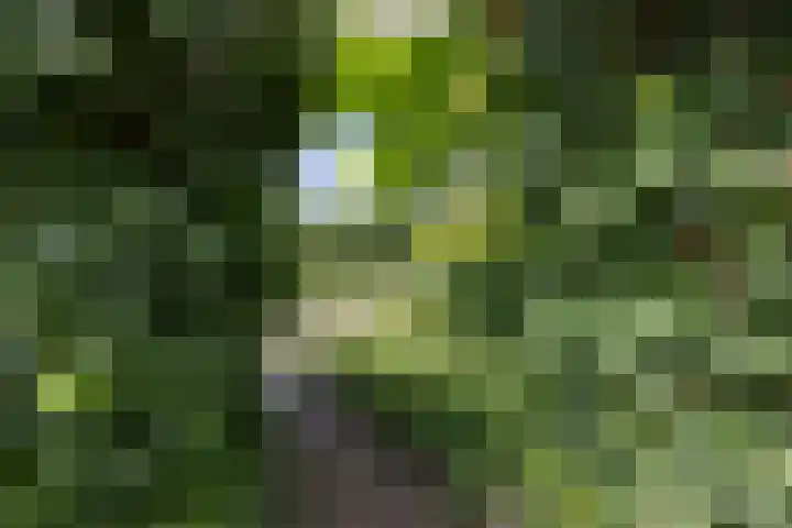 Vennestraat 13 Drunen thumbnail 31