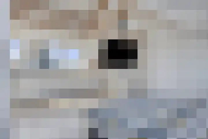 Vennestraat 35 Drunen thumbnail 20