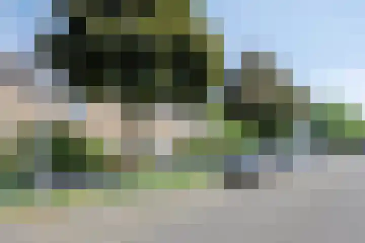 Vennestraat 35 Drunen thumbnail 29