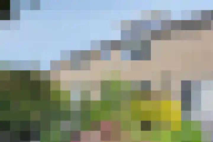Vennestraat 35 Drunen thumbnail 31
