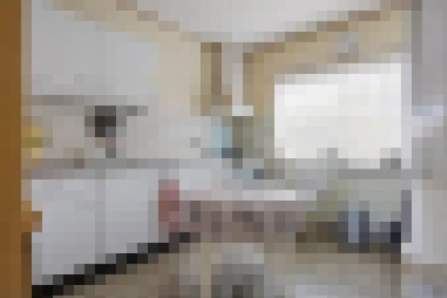 Vennestraat 52 Drunen thumbnail 15