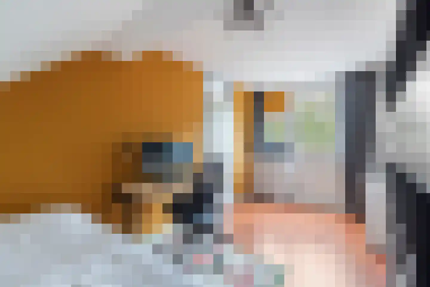 Vennewaard 320 Alkmaar thumbnail 26