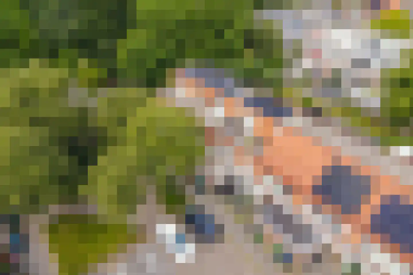 Vennewaard 320 Alkmaar thumbnail 36