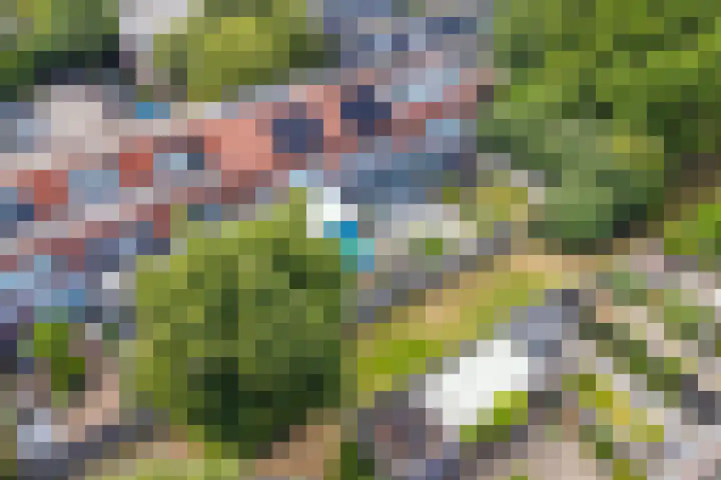 Vennewaard 320 Alkmaar thumbnail 37