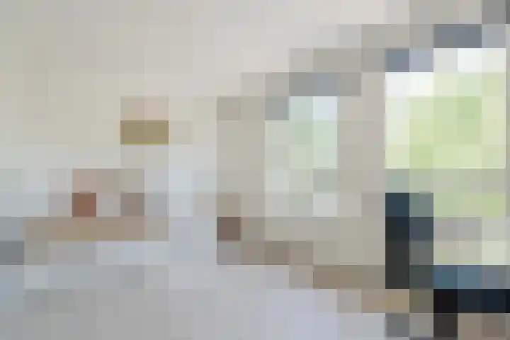 Vennewaard 332 Alkmaar thumbnail 12