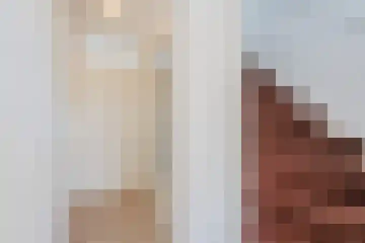 Vennewaard 332 Alkmaar thumbnail 16