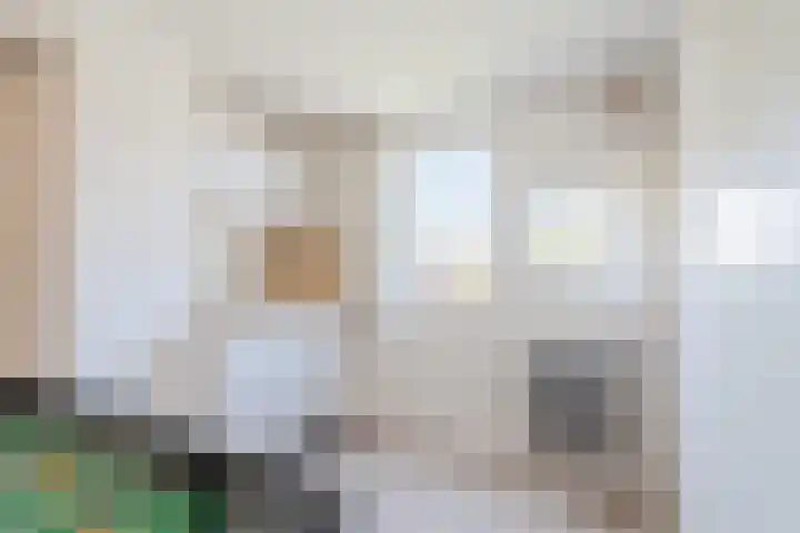 Vennewaard 332 Alkmaar thumbnail 20