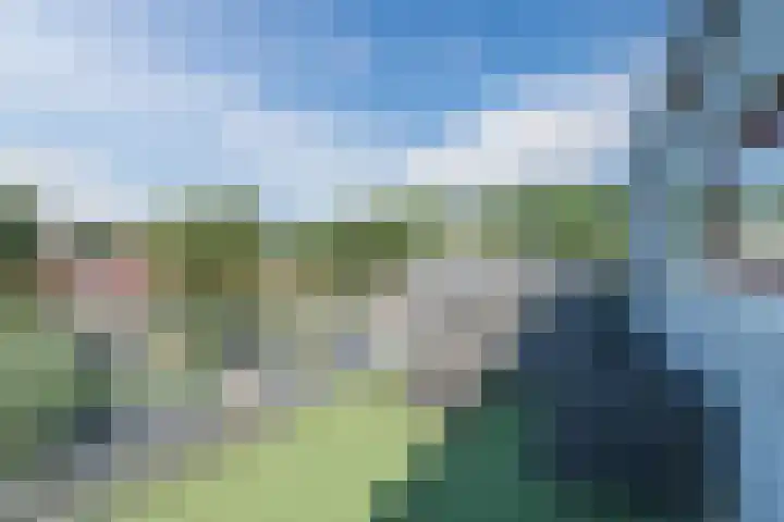 Vennewaard 332 Alkmaar thumbnail 23