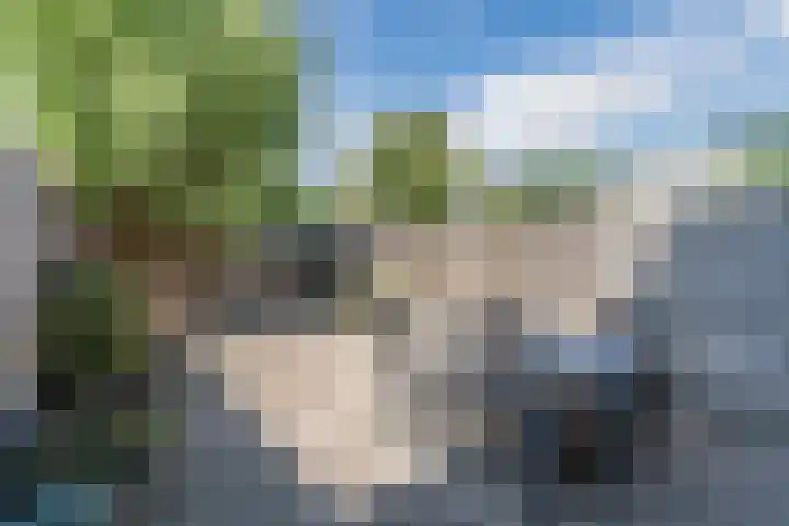 Vennewaard 332 Alkmaar thumbnail 24