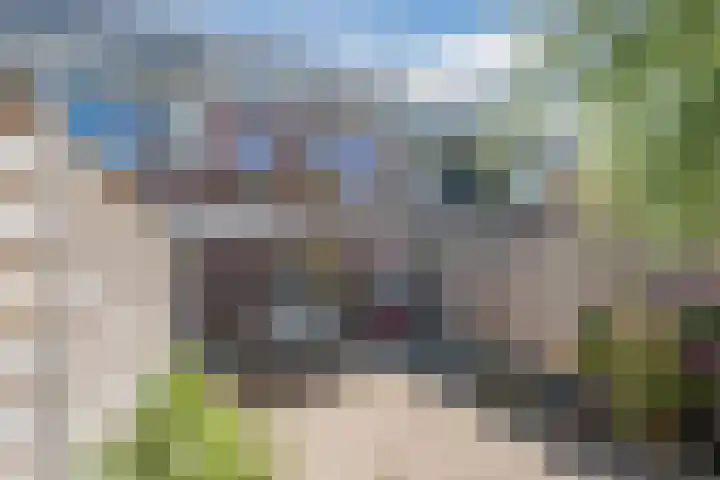 Vennewaard 332 Alkmaar thumbnail 25