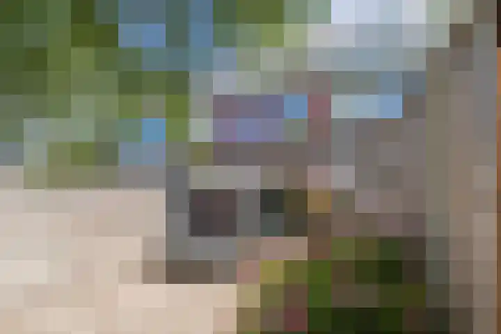 Vennewaard 332 Alkmaar thumbnail 26
