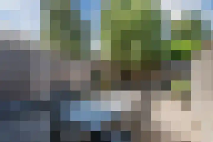 Vennewaard 332 Alkmaar thumbnail 4