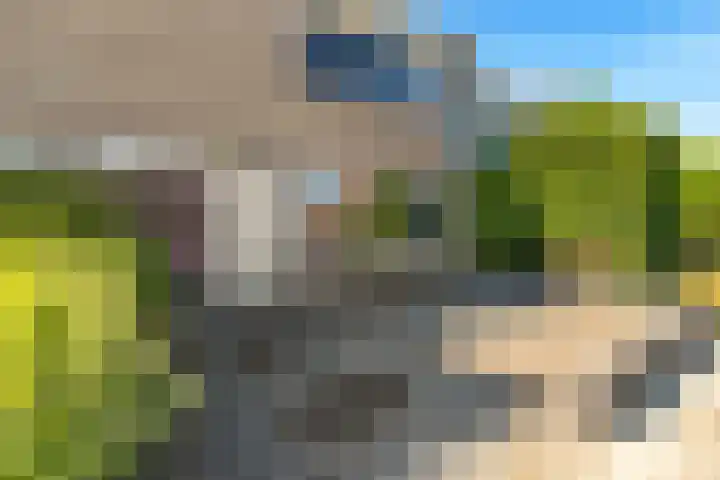 Vennewatersweg 10 Egmond-Binnen thumbnail 47