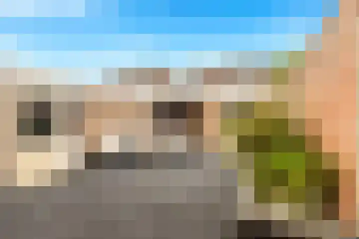 Vennewatersweg 10 Egmond-Binnen thumbnail 5