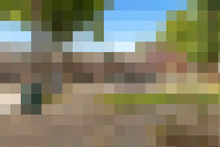Vennewatersweg 10 Egmond-Binnen thumbnail 52