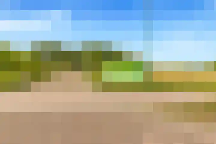 Vennewatersweg 10 Egmond-Binnen thumbnail 53