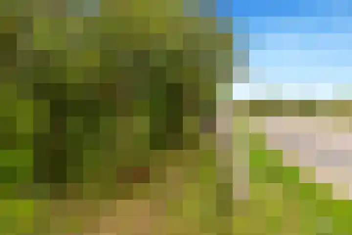 Vennewatersweg 10 Egmond-Binnen thumbnail 54