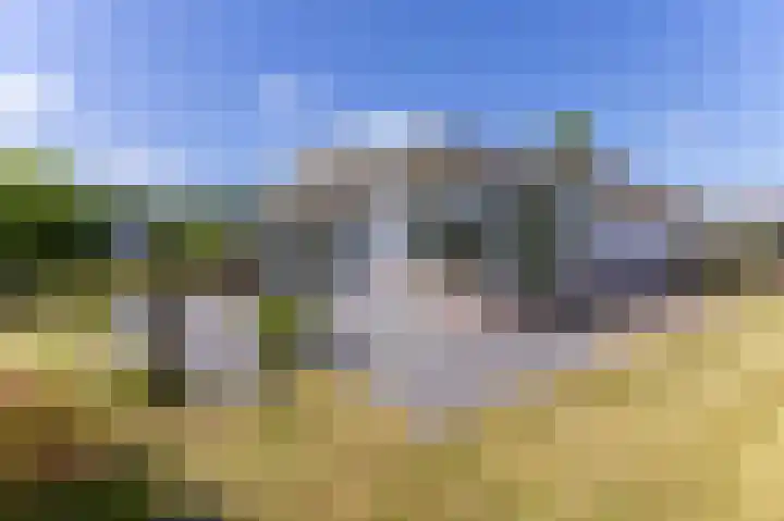 Venneweg 1 09 Berkhout thumbnail 10