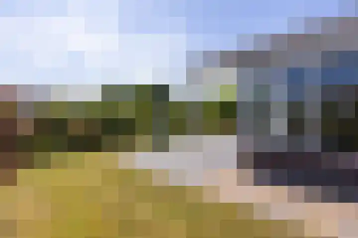 Venneweg 1 09 Berkhout thumbnail 11
