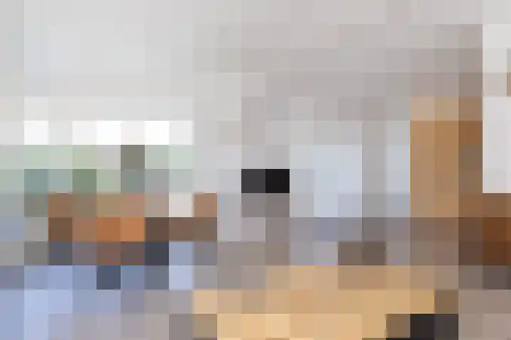 Venneweg 1 09 Berkhout thumbnail 13