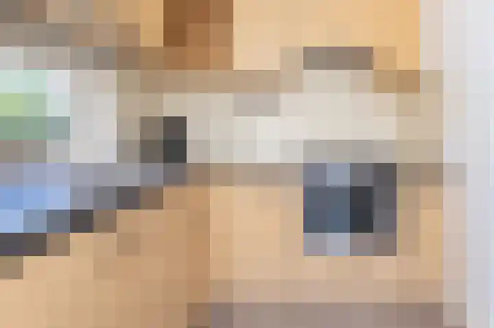 Venneweg 1 09 Berkhout thumbnail 18