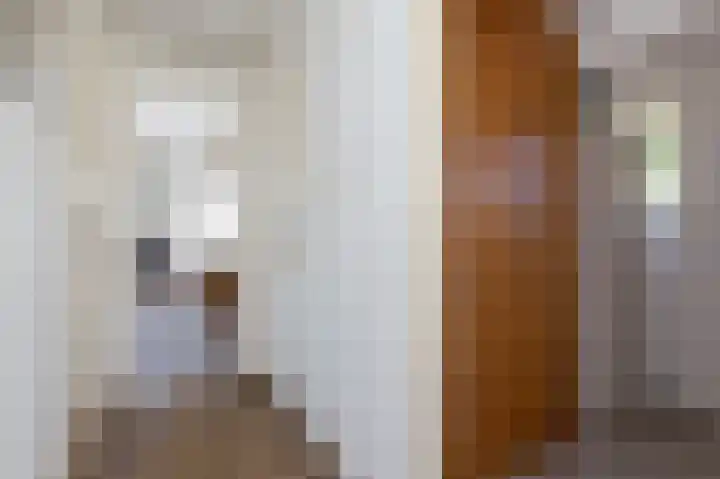 Venneweg 1 09 Berkhout thumbnail 28
