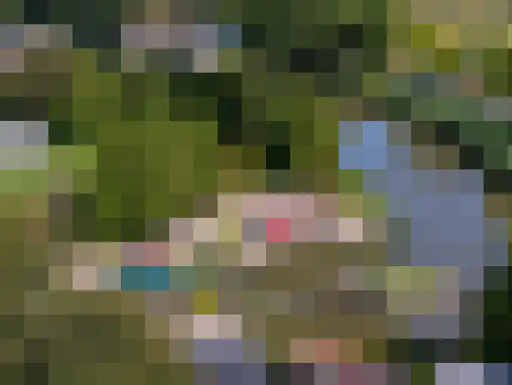 Venneweg 1 09 Berkhout thumbnail 37
