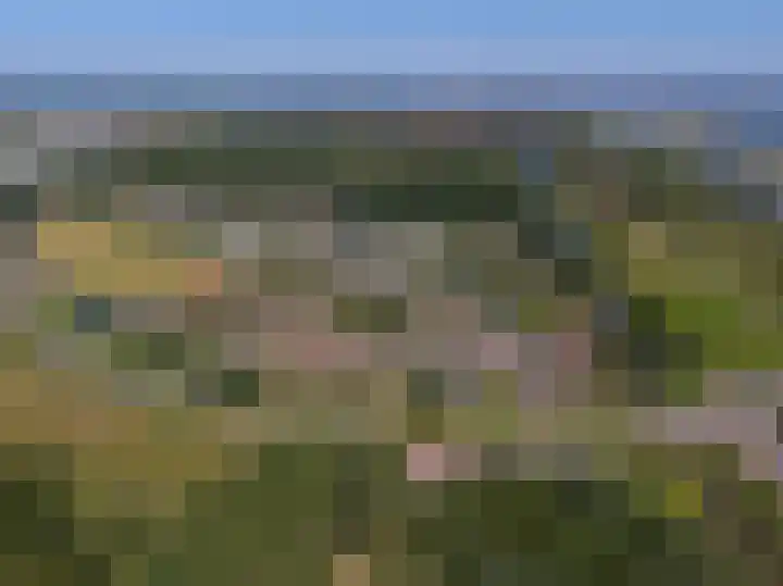 Venneweg 1 09 Berkhout thumbnail 39