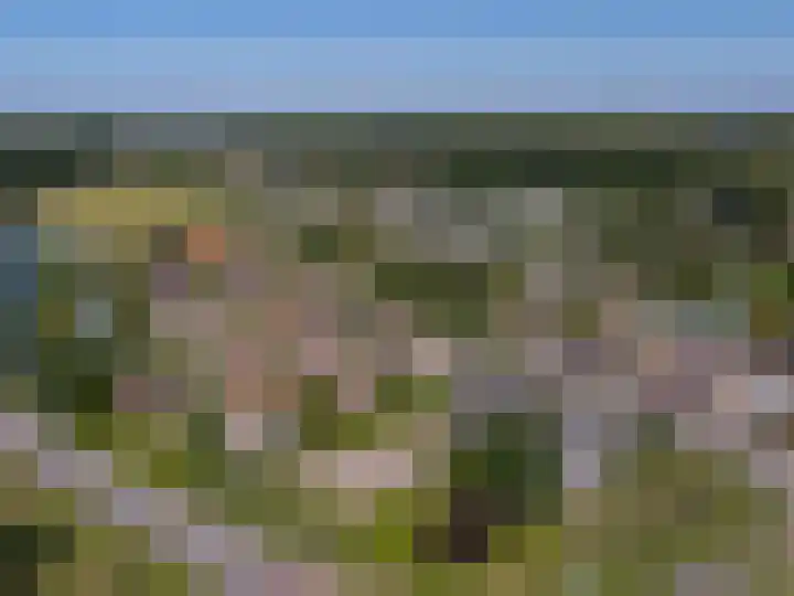 Venneweg 1 09 Berkhout thumbnail 4