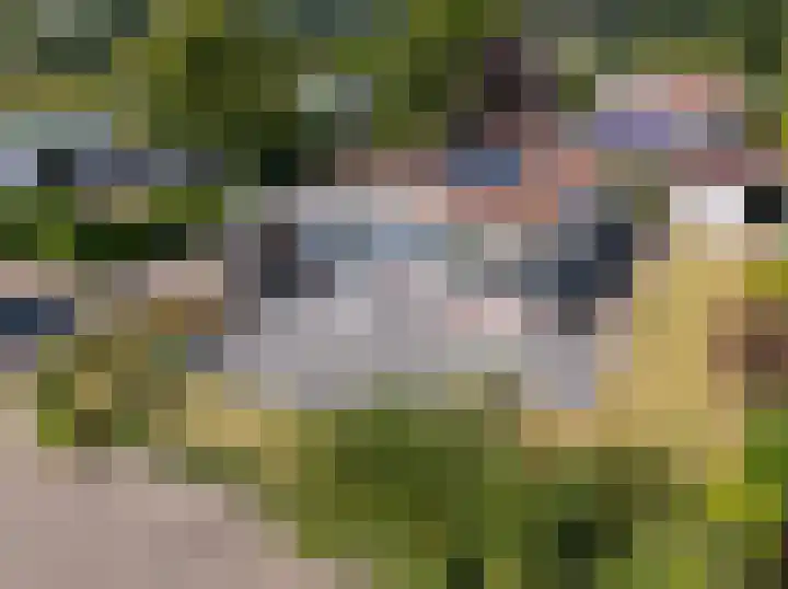 Venneweg 1 09 Berkhout thumbnail 6