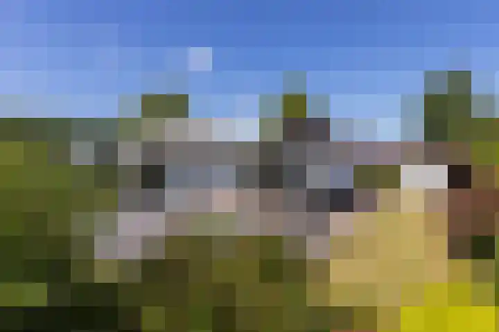 Venneweg 1 09 Berkhout thumbnail 8