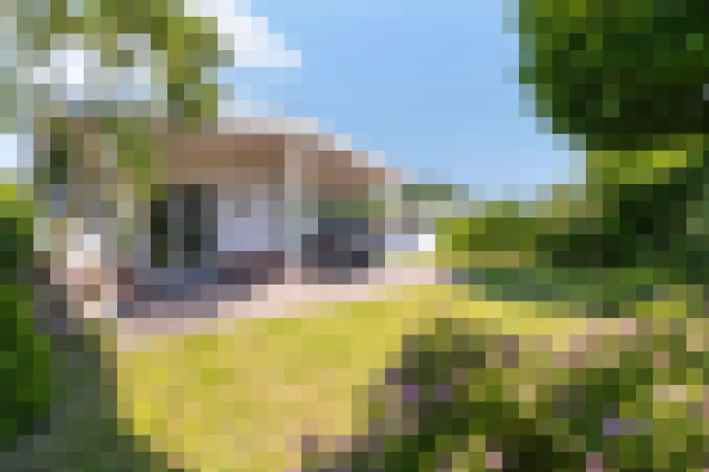 Venneweg 1 19 Berkhout thumbnail 36