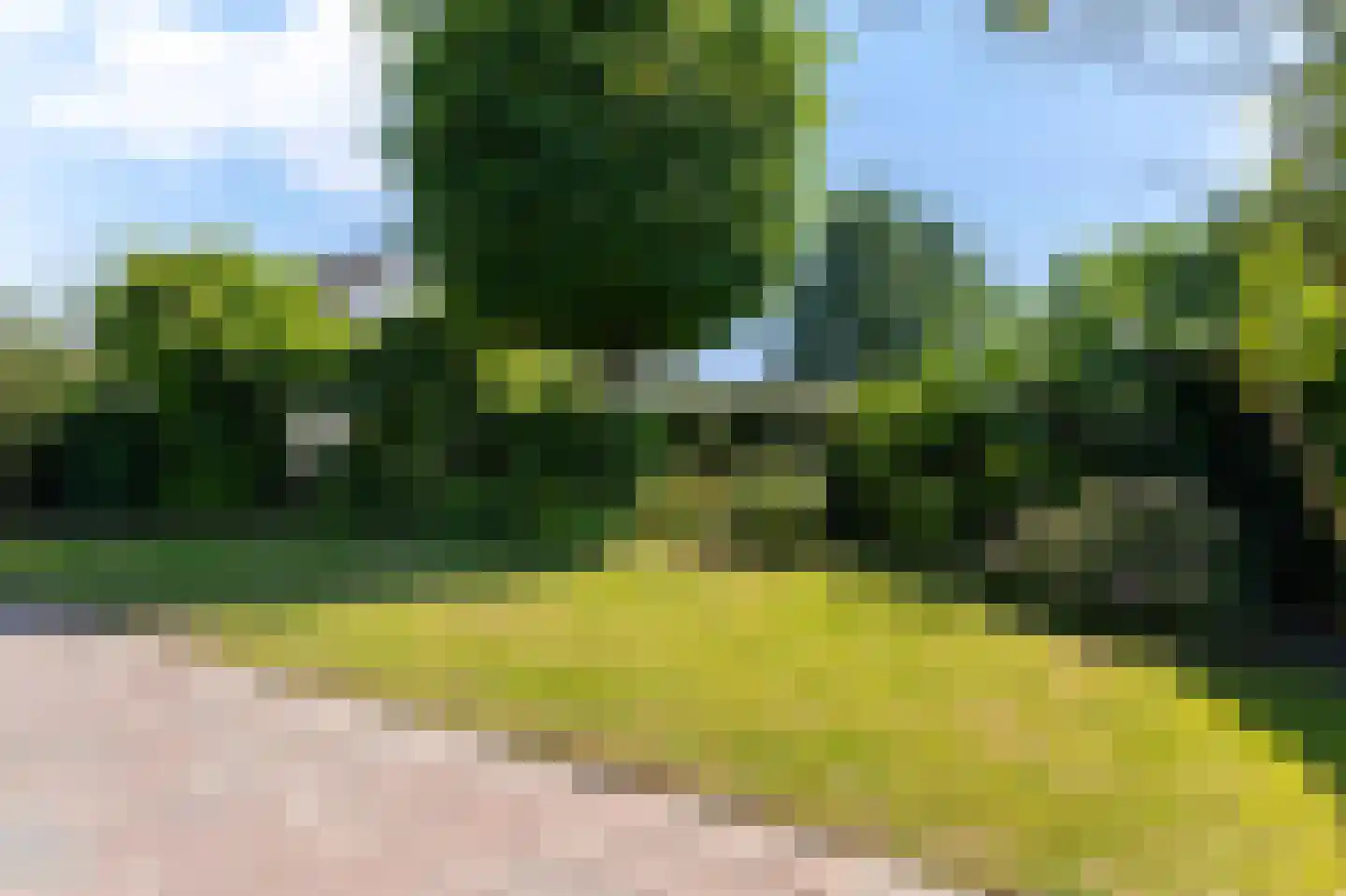 Venneweg 1 19 Berkhout thumbnail 38